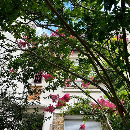 アパート Studio3 Centre *